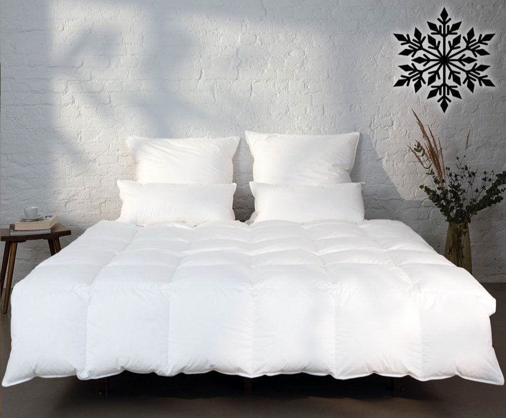 Befa Natur: Winter Ganzendonzen Dekbed